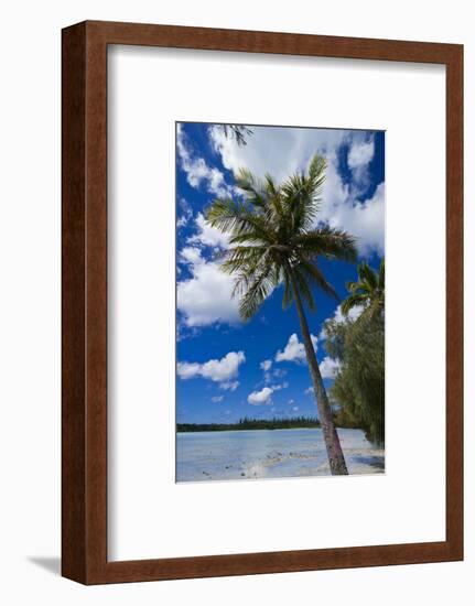 Bay De Ouameo, Ile Des Pins, New Caledonia, South Pacific-Michael Runkel-Framed Photographic Print