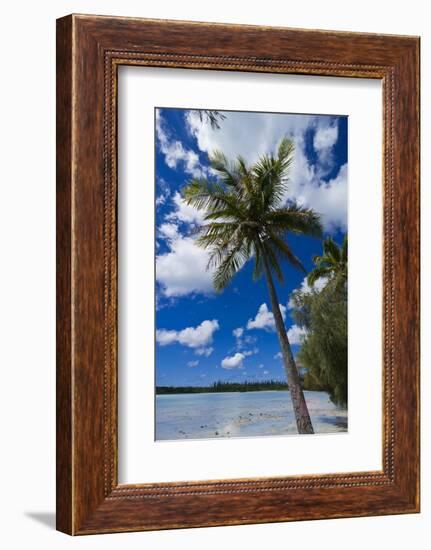 Bay De Ouameo, Ile Des Pins, New Caledonia, South Pacific-Michael Runkel-Framed Photographic Print