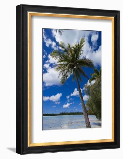 Bay De Ouameo, Ile Des Pins, New Caledonia, South Pacific-Michael Runkel-Framed Photographic Print