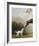 Bay Horse and White Dog - Focus-George Stubbs-Framed Premium Giclee Print