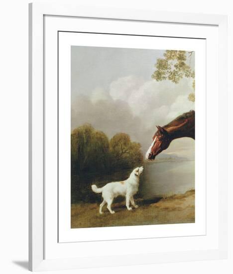 Bay Horse and White Dog - Focus-George Stubbs-Framed Premium Giclee Print