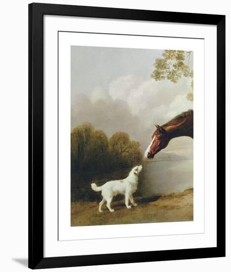 Bay Horse and White Dog - Focus-George Stubbs-Framed Premium Giclee Print