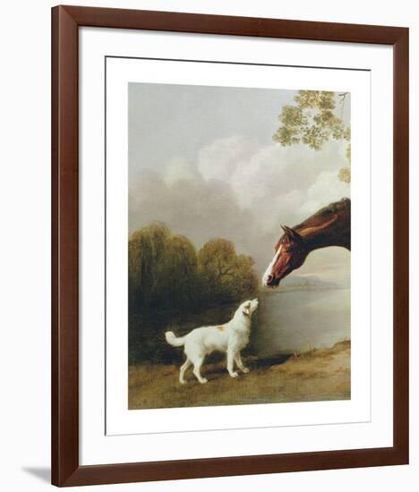 Bay Horse and White Dog - Focus-George Stubbs-Framed Premium Giclee Print