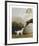 Bay Horse and White Dog - Focus-George Stubbs-Framed Premium Giclee Print