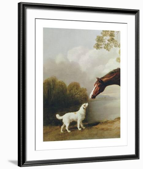 Bay Horse and White Dog - Focus-George Stubbs-Framed Premium Giclee Print