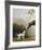 Bay Horse and White Dog - Focus-George Stubbs-Framed Premium Giclee Print