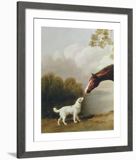 Bay Horse and White Dog - Focus-George Stubbs-Framed Premium Giclee Print