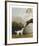 Bay Horse and White Dog - Focus-George Stubbs-Framed Premium Giclee Print