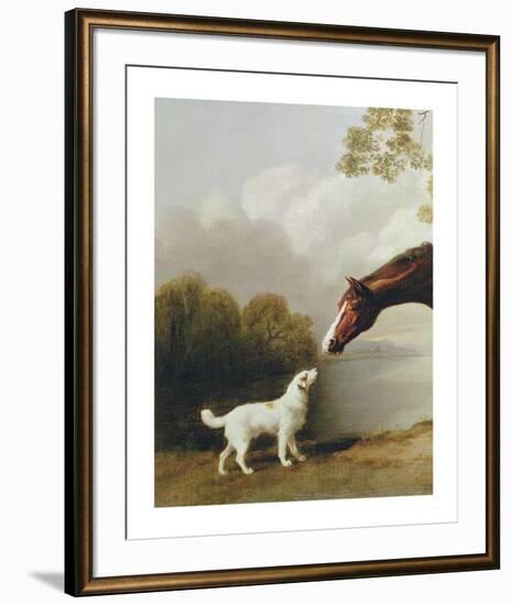 Bay Horse and White Dog - Focus-George Stubbs-Framed Premium Giclee Print