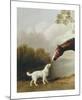 Bay Horse and White Dog - Focus-George Stubbs-Mounted Premium Giclee Print