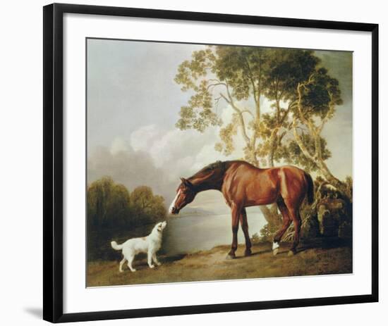 Bay Horse and White Dog-George Stubbs-Framed Premium Giclee Print