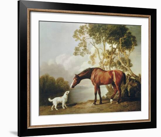 Bay Horse and White Dog-George Stubbs-Framed Premium Giclee Print