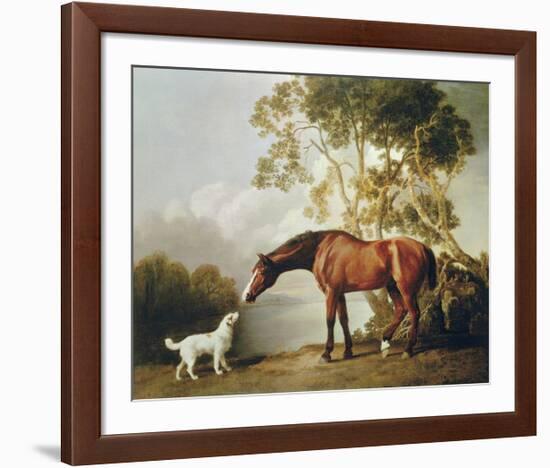 Bay Horse and White Dog-George Stubbs-Framed Premium Giclee Print