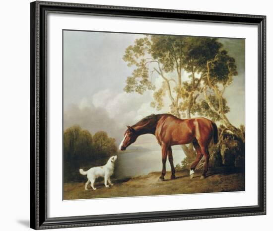 Bay Horse and White Dog-George Stubbs-Framed Premium Giclee Print