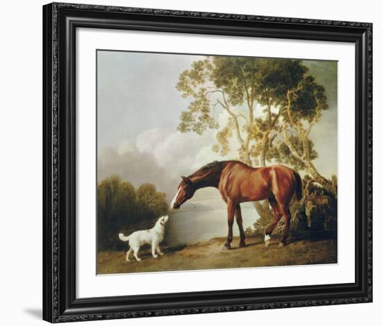 Bay Horse and White Dog-George Stubbs-Framed Premium Giclee Print