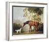 'Bay Horse and White Dog' Premium Giclee Print - George Stubbs | Art.com