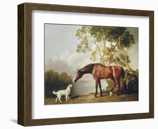 Bay Horse and White Dog-George Stubbs-Framed Art Print