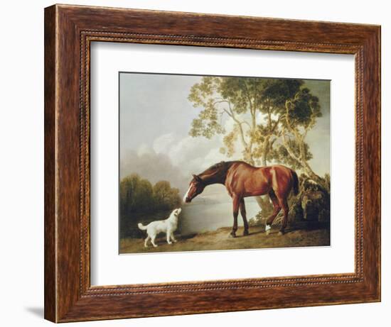 Bay Horse and White Dog-George Stubbs-Framed Art Print