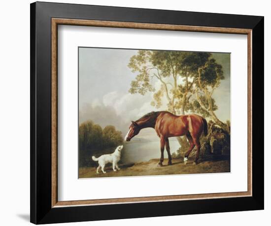 Bay Horse and White Dog-George Stubbs-Framed Art Print