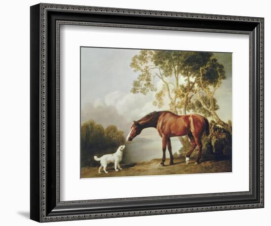 Bay Horse and White Dog-George Stubbs-Framed Art Print