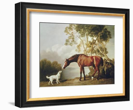 Bay Horse and White Dog-George Stubbs-Framed Art Print