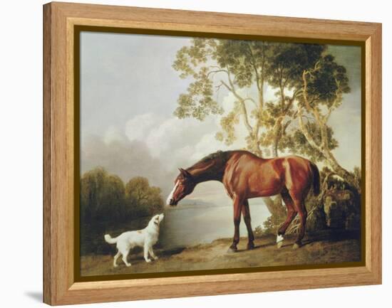 Bay Horse and White Dog-George Stubbs-Framed Stretched Canvas