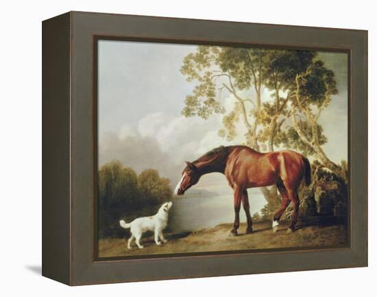 Bay Horse and White Dog-George Stubbs-Framed Stretched Canvas