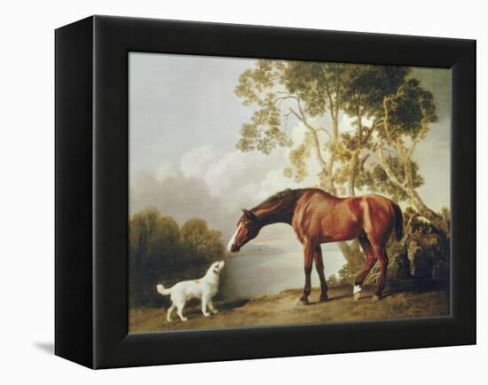 Bay Horse and White Dog-George Stubbs-Framed Stretched Canvas