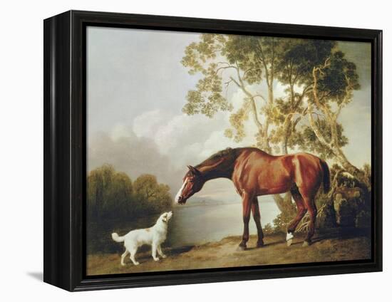 Bay Horse and White Dog-George Stubbs-Framed Stretched Canvas