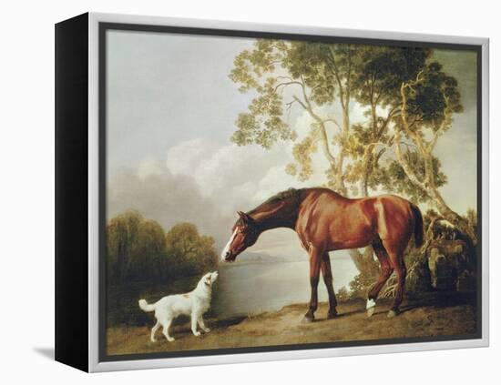 Bay Horse and White Dog-George Stubbs-Framed Stretched Canvas