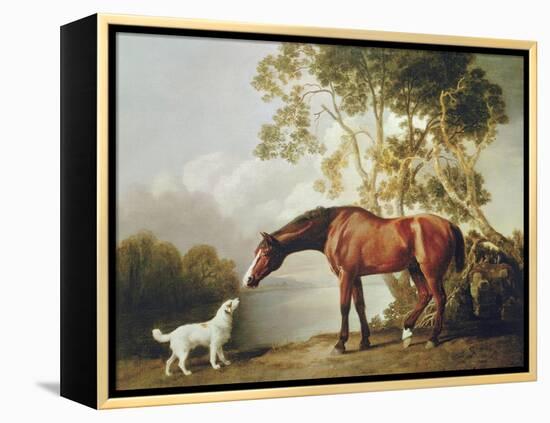 Bay Horse and White Dog-George Stubbs-Framed Stretched Canvas