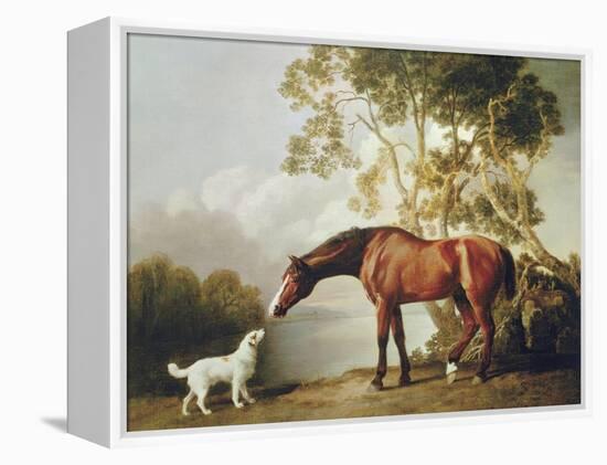 Bay Horse and White Dog-George Stubbs-Framed Stretched Canvas