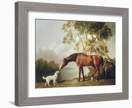 Bay Horse and White Dog-George Stubbs-Framed Art Print