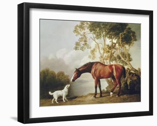 Bay Horse and White Dog-George Stubbs-Framed Art Print