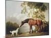 Bay Horse and White Dog-George Stubbs-Mounted Art Print