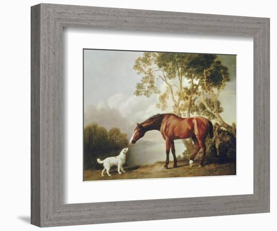 Bay Horse and White Dog-George Stubbs-Framed Premium Giclee Print