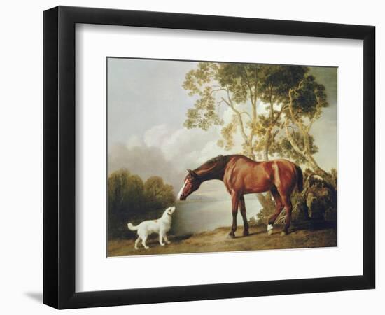 Bay Horse and White Dog-George Stubbs-Framed Premium Giclee Print