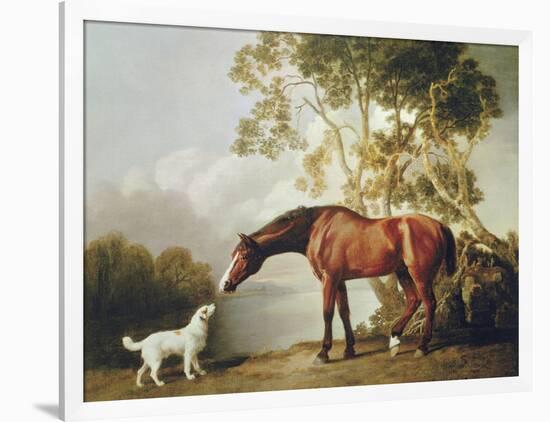 Bay Horse and White Dog-George Stubbs-Framed Premium Giclee Print