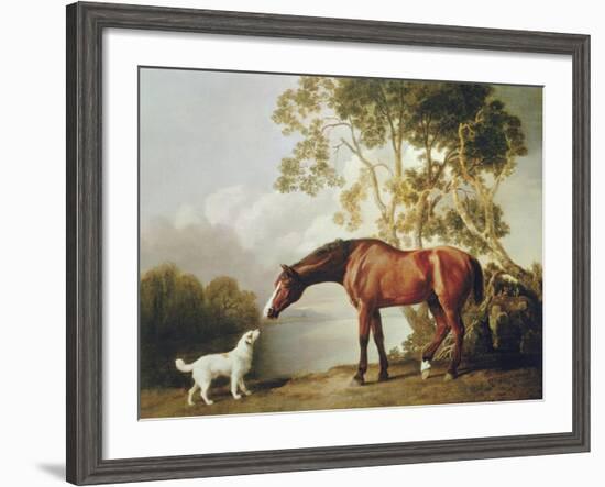 Bay Horse and White Dog-George Stubbs-Framed Premium Giclee Print