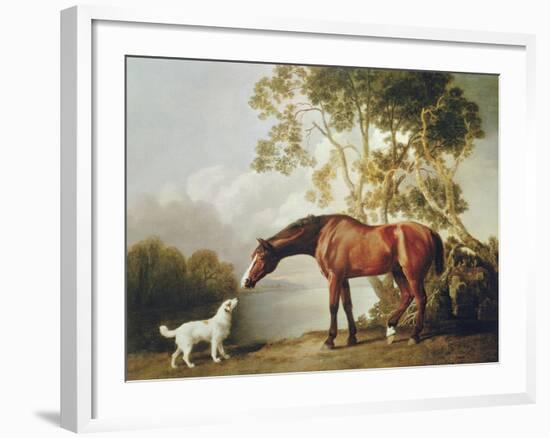 Bay Horse and White Dog-George Stubbs-Framed Premium Giclee Print