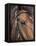 Bay Horse in Bridle-null-Framed Premier Image Canvas