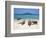 Bay Islands, Cayos Cochinos, Chachauate Caye, Honduras-Jane Sweeney-Framed Photographic Print