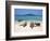 Bay Islands, Cayos Cochinos, Chachauate Caye, Honduras-Jane Sweeney-Framed Photographic Print