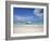 Bay Islands, Roatan, West Bay, Man Reading Book on Catamaran, Honduras-Jane Sweeney-Framed Photographic Print