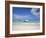 Bay Islands, Roatan, West Bay, Man Reading Book on Catamaran, Honduras-Jane Sweeney-Framed Photographic Print