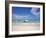 Bay Islands, Roatan, West Bay, Man Reading Book on Catamaran, Honduras-Jane Sweeney-Framed Photographic Print