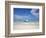 Bay Islands, Roatan, West Bay, Man Reading Book on Catamaran, Honduras-Jane Sweeney-Framed Photographic Print