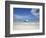 Bay Islands, Roatan, West Bay, Man Reading Book on Catamaran, Honduras-Jane Sweeney-Framed Photographic Print