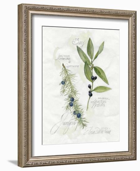 Bay Leaf and Juniper-Elissa Della-piana-Framed Art Print