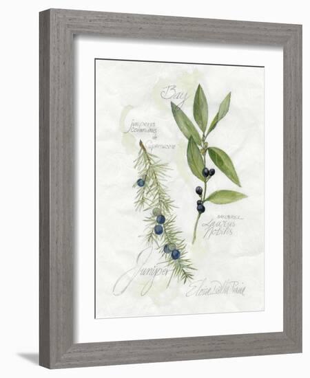 Bay Leaf and Juniper-Elissa Della-piana-Framed Art Print